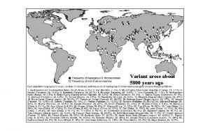 Variant arose about 5800 years ago The age