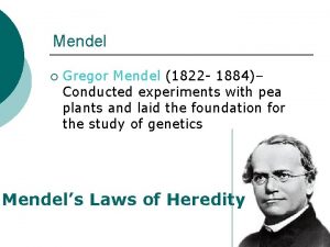 Mendel Gregor Mendel 1822 1884 Conducted experiments with