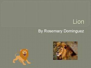 Lion By Rosemary Dominguez Lion Habitat Lions live