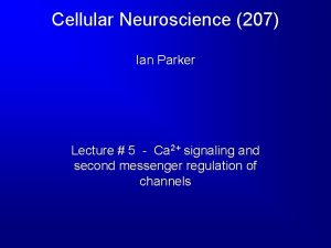 Cellular Neuroscience 207 Ian Parker Lecture 5 Ca