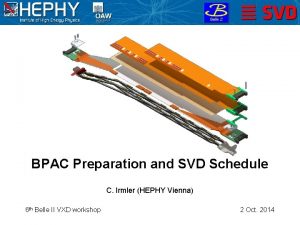 BPAC Preparation and SVD Schedule C Irmler HEPHY