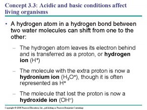 Concept 3 3 Acidic and basic conditions affect