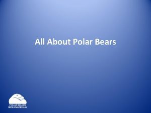 All About Polar Bears The polar bear is