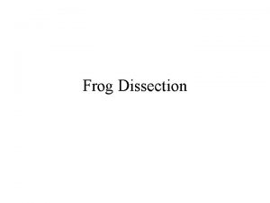 Frog Dissection I Purpose To observe the external