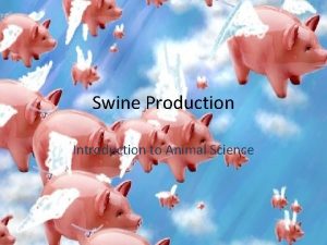 Swine Production Introduction to Animal Science Swine Terminology