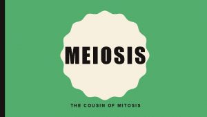 MEIOSIS THE COUSIN OF MITOSIS REVIEW OF MITOSIS