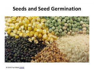 Seeds and Seed Germination 2008 Paul Billiet ODWS