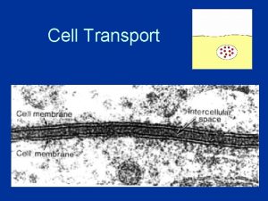 Cell Transport Cell Transport Every living organisms must