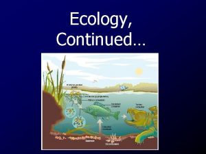 Ecology Continued Autotrophs A groups of organisms that