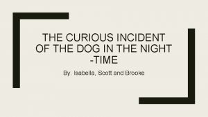 THE CURIOUS INCIDENT OF THE DOG IN THE