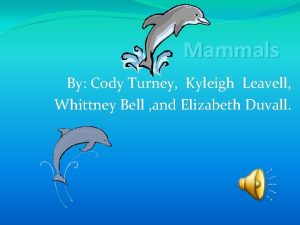 Mammals By Cody Turney Kyleigh Leavell Whittney Bell