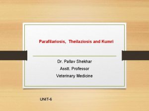 Parafilariosis Theilaziosis and Kumri Dr Pallav Shekhar Asstt