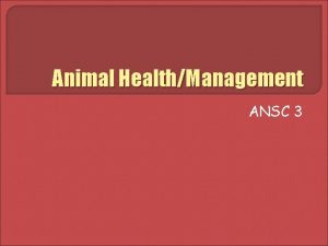 Animal HealthManagement ANSC 3 Objectives Define basic animal