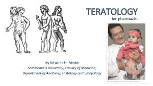 TERATOLOGY for pharmacist by Krisztina H Mink Semmelweis