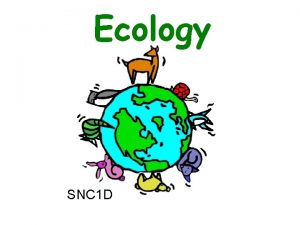 Ecology SNC 1 D Why Study Ecology Sustainability