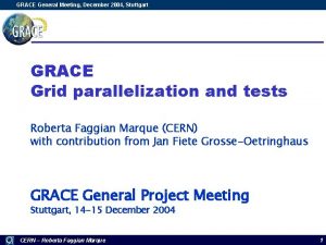 GRACE General Meeting December 2004 Stuttgart GRACE Grid