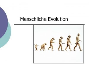 Menschliche Evolution Evolution Zeitlinie Otzi 2 Evolution des