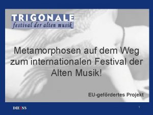 Metamorphosen auf dem Weg zum internationalen Festival der