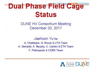 Dual Phase Field Cage Status DUNE HV Consortium