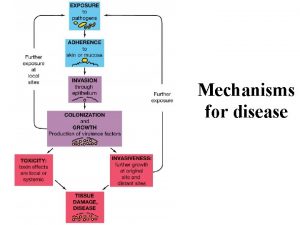 Mechanisms for disease Nonspecific Innate Resistance to Infection