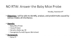 NO RTW Answer the Baby Mice Probe Monday