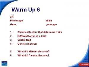 Warm Up 6 34 Phenotype allele Gene genotype