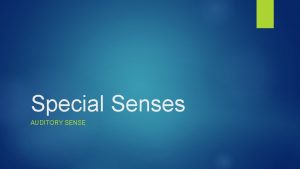 Special Senses AUDITORY SENSE Auditory Sense The Ear
