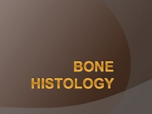 BONE HISTOLOGY Histology of Bone Bone consists of