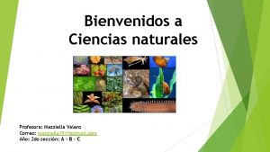 Bienvenidos a Ciencias naturales Profesora Mazziella Valero Correo