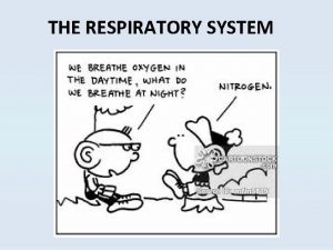 THE RESPIRATORY SYSTEM Purpose of the Respiratory System