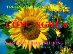 TRNG THCS TRNH PHONG CNG NGH 6 GIO