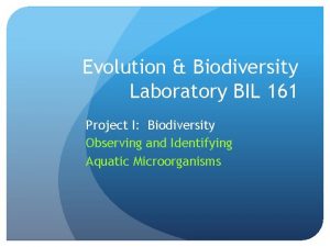 Evolution Biodiversity Laboratory BIL 161 Project I Biodiversity