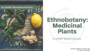 An e HRAF Workbook Activity Ethnobotany Medicinal Plants