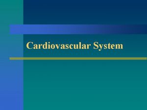 Cardiovascular System Overview of the Cardiovascular System n