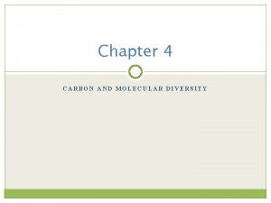 Chapter 4 CARBON AND MOLECULAR DIVERSITY The Importance