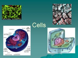 Cells Cells and their History u All living
