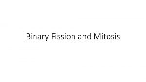 Binary Fission and Mitosis Cell Division in Prokaryotes