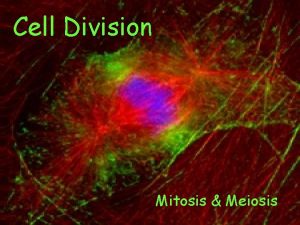 Cell Division Mitosis Meiosis Cell Division What is