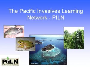 The Pacific Invasives Learning Network PILN Joel Miles