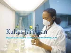 Kultur Jaringan BIOLOGI XI IPA SMAN 46 JAKARTA