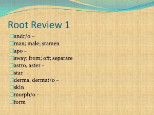 Root Review 1 andro man male stamen apo