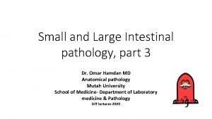 Small and Large Intestinal pathology part 3 Dr