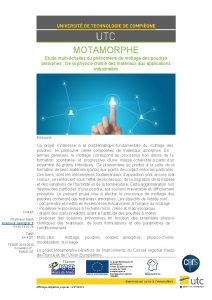 MOTAMORPHE Etude multichelles du phnomne de mottage des