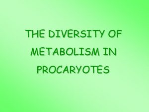 THE DIVERSITY OF METABOLISM IN PROCARYOTES The various