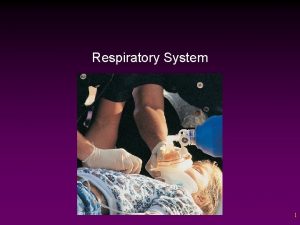 Respiratory System 1 Outline The Respiratory Tract The