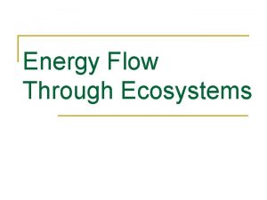 Energy Flow Through Ecosystems Ecosystem and Energy Roles