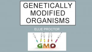 GENETICALLY MODIFIED ORGANISMS ELLIE PROCTOR Organisms plants animals