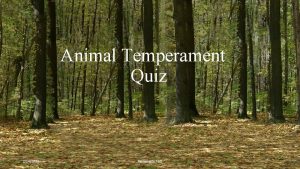 Animal Temperament Quiz 2142022 Personality Test Index Why