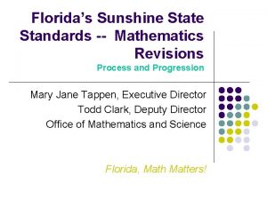 Floridas Sunshine State Standards Mathematics Revisions Process and