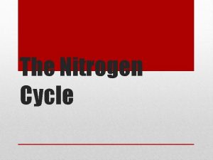 The Nitrogen Cycle 1 Most abundant element in